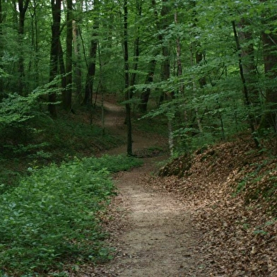 Parcours de santé à Châtenois