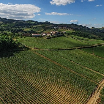 Jambon Marc et Fils - PIERRECLOS