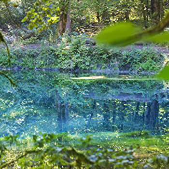 Visite guidée : Les mystères d’Anjeux  - ANJEUX