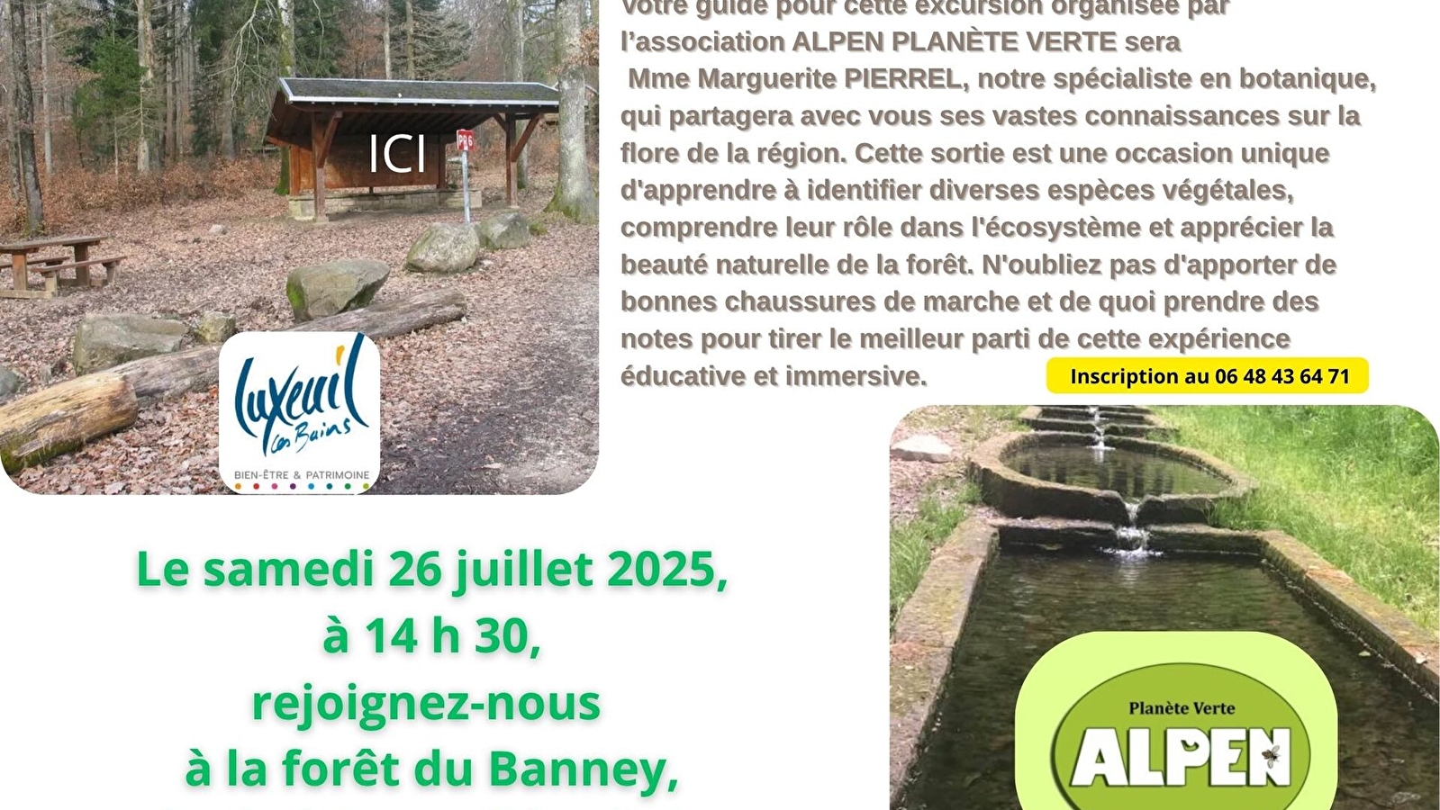 Sortie découverte des plantes locales