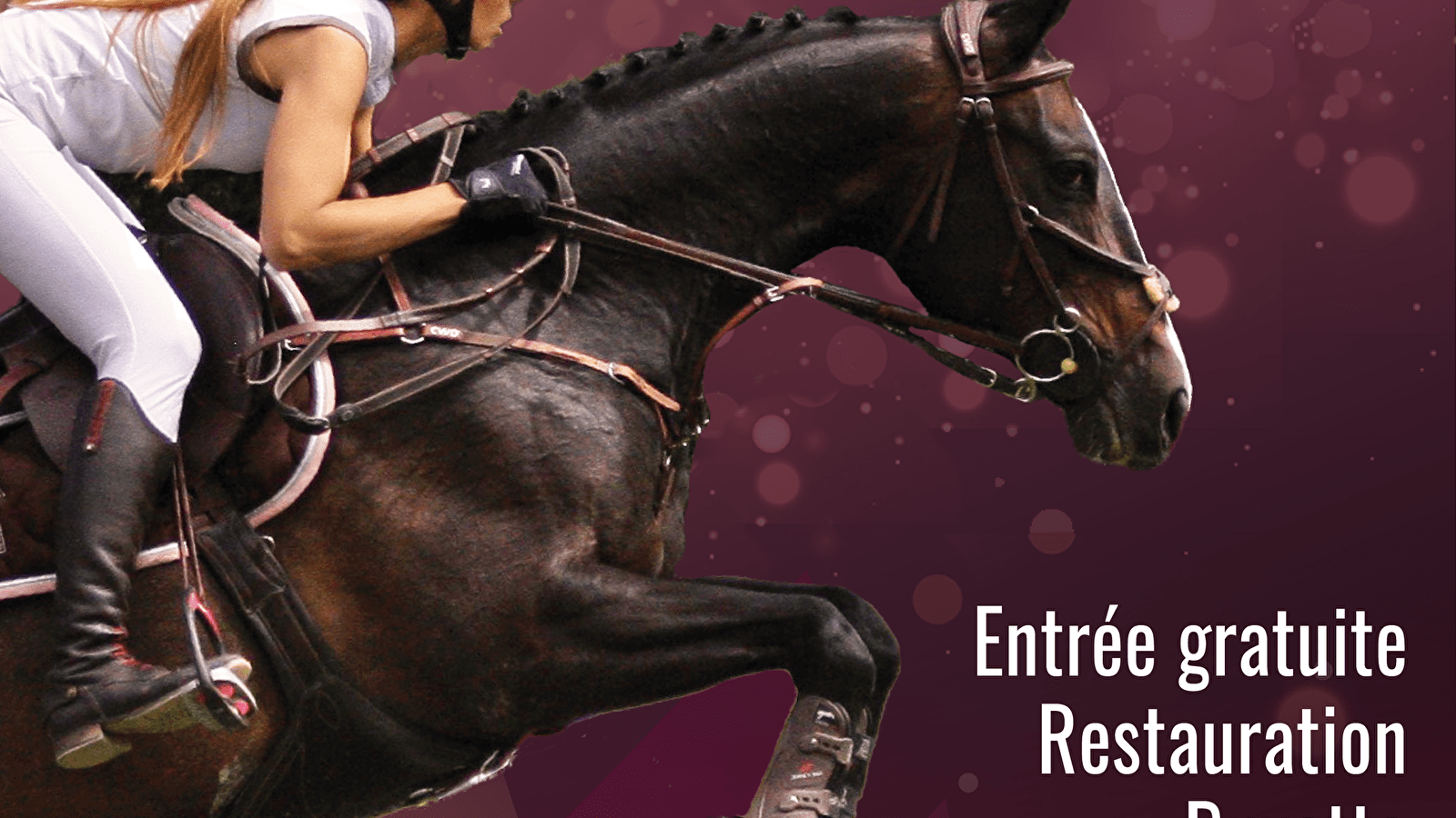 Jumping de Luxeuil, Concours de Saut d'Obstacle amateur