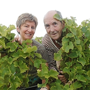 Domaine Landrat-Guyollot - SAINT-ANDELAIN