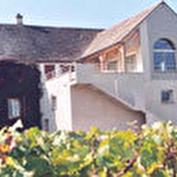 Martin Michel - CHOREY-LES-BEAUNE