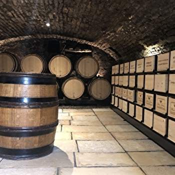 Javillier Patrick / La Cave Saint-Nicolas - MEURSAULT