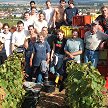 Raillard Jean-Louis - VOSNE-ROMANEE