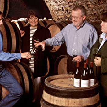 Michelot Alain - NUITS-SAINT-GEORGES