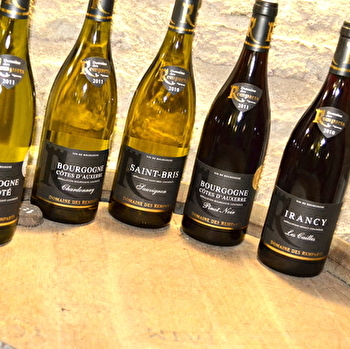 Domaine des Remparts - SAINT-BRIS-LE-VINEUX