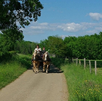 Attelage du Pays des Fontaines - MOLLANS