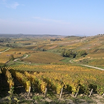Domaine de la Renardière, Jean-Michel Petit - PUPILLIN