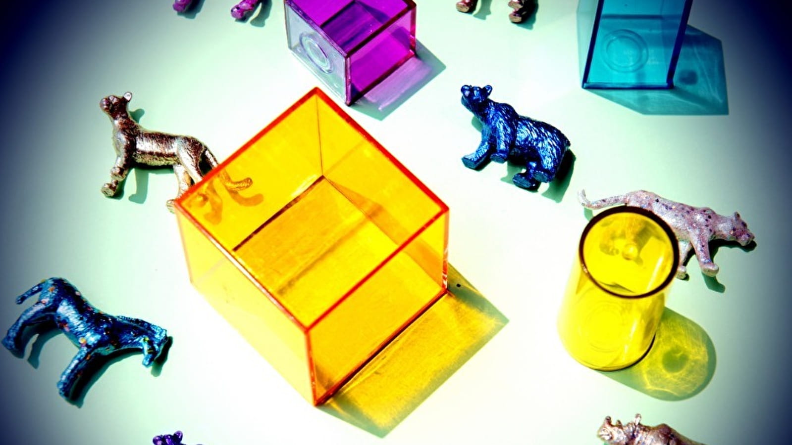 Atelier arts plastiques : les animaux dans l'art