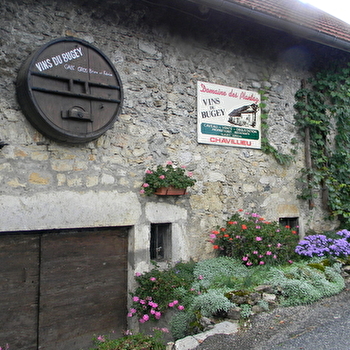 Domaine des Plantaz - CHAZEY-BONS