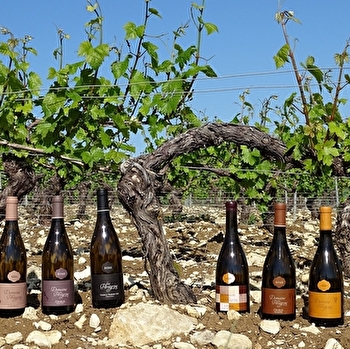 Domaine des Pérégrins - POILLY-SUR-SEREIN