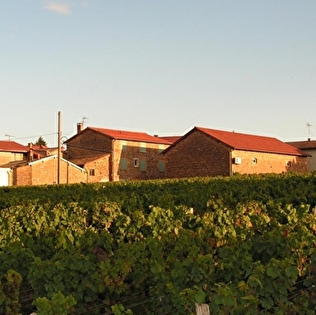 Domaine de la Côte de Berne - BLACE