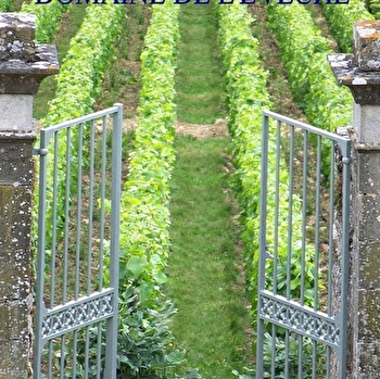 Domaine de l'Evêché - Joussier Quentin et Vincent - SAINT-DENIS-DE-VAUX