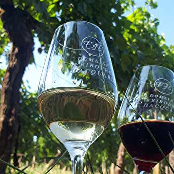 Fribourg Hacquard - VILLERS-LA-FAYE