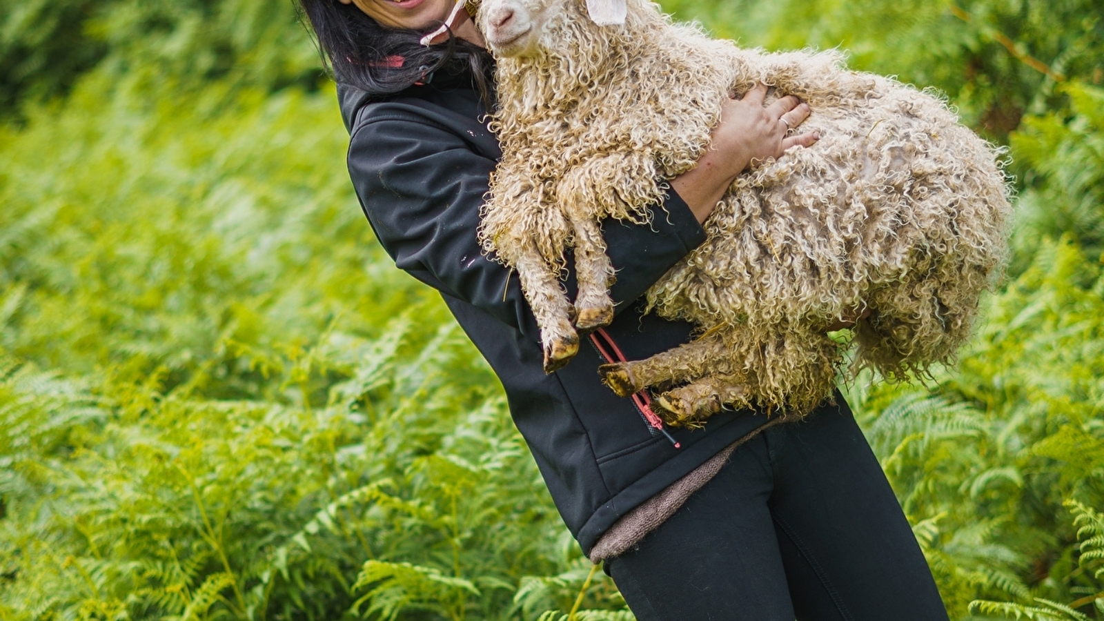 Le Mohair des Petits Sentiers