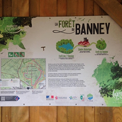 Forêt du Banney