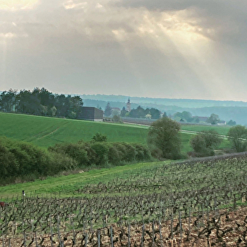 Marie de Louvoy - MOLESME