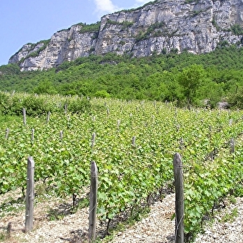 Les Grangeons de l'Albarine - ARGIS