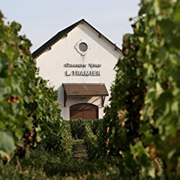 Tramier L & Fils - MERCUREY