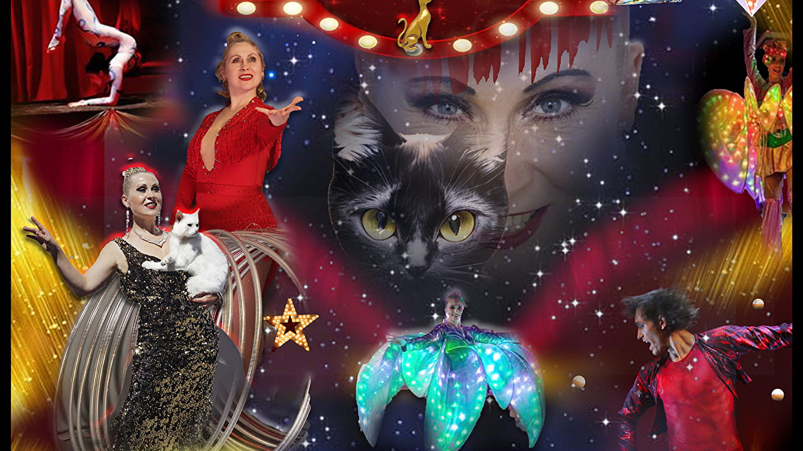 Cabaret : Le Chat d'Or