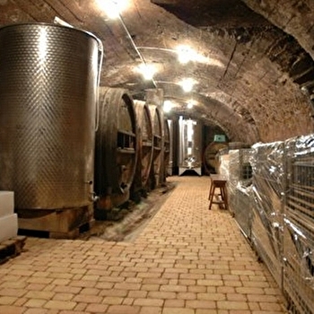 Emmanuelle et Pascal Blandin - BEAUJEU