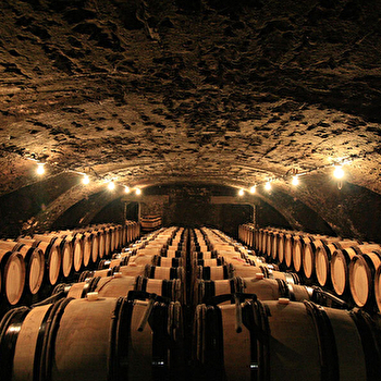 Jeannin-Naltet - MERCUREY