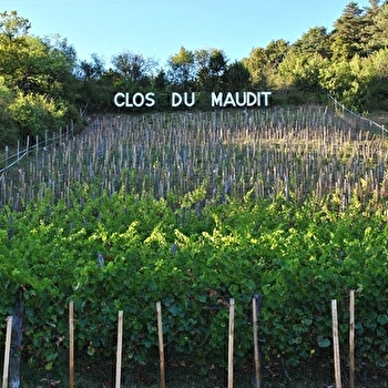 Domaine du Bourg d'Oiseau - CHAULGNES