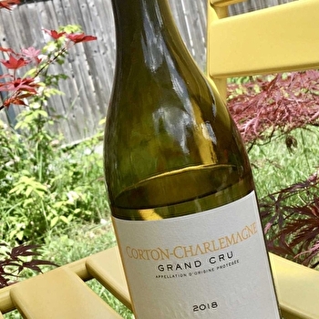 Cosnier Antonin - PERNAND-VERGELESSES