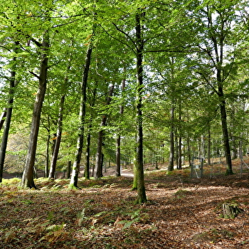 Parcours de Santé - FOUGEROLLES-SAINT-VALBERT