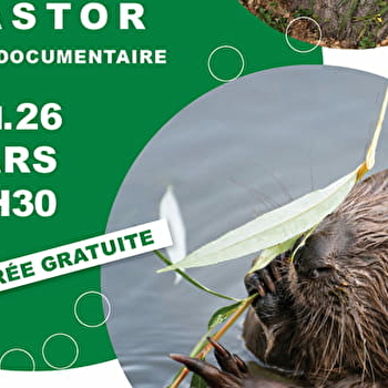 Projection et échanges : Le Cas du Castor - LUXEUIL-LES-BAINS