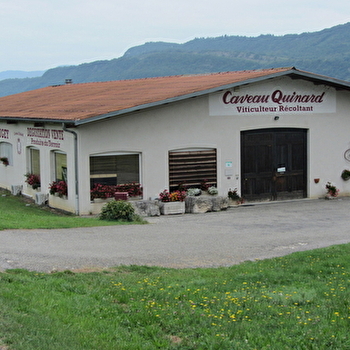 Caveau Quinard - MASSIGNIEU-DE-RIVES