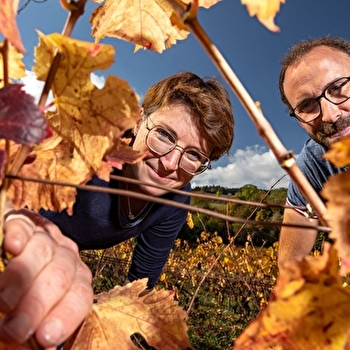 Grachet Duchemin - SAMPIGNY-LES-MARANGES