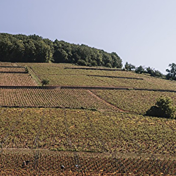 Juillot Michel - MERCUREY