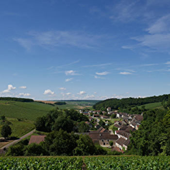 De Oliveira Lecestre - FONTENAY-PRES-CHABLIS