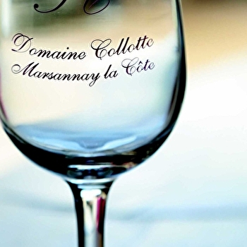Collotte - MARSANNAY-LA-COTE