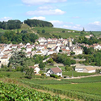 Rollin Père et Fils - PERNAND-VERGELESSES