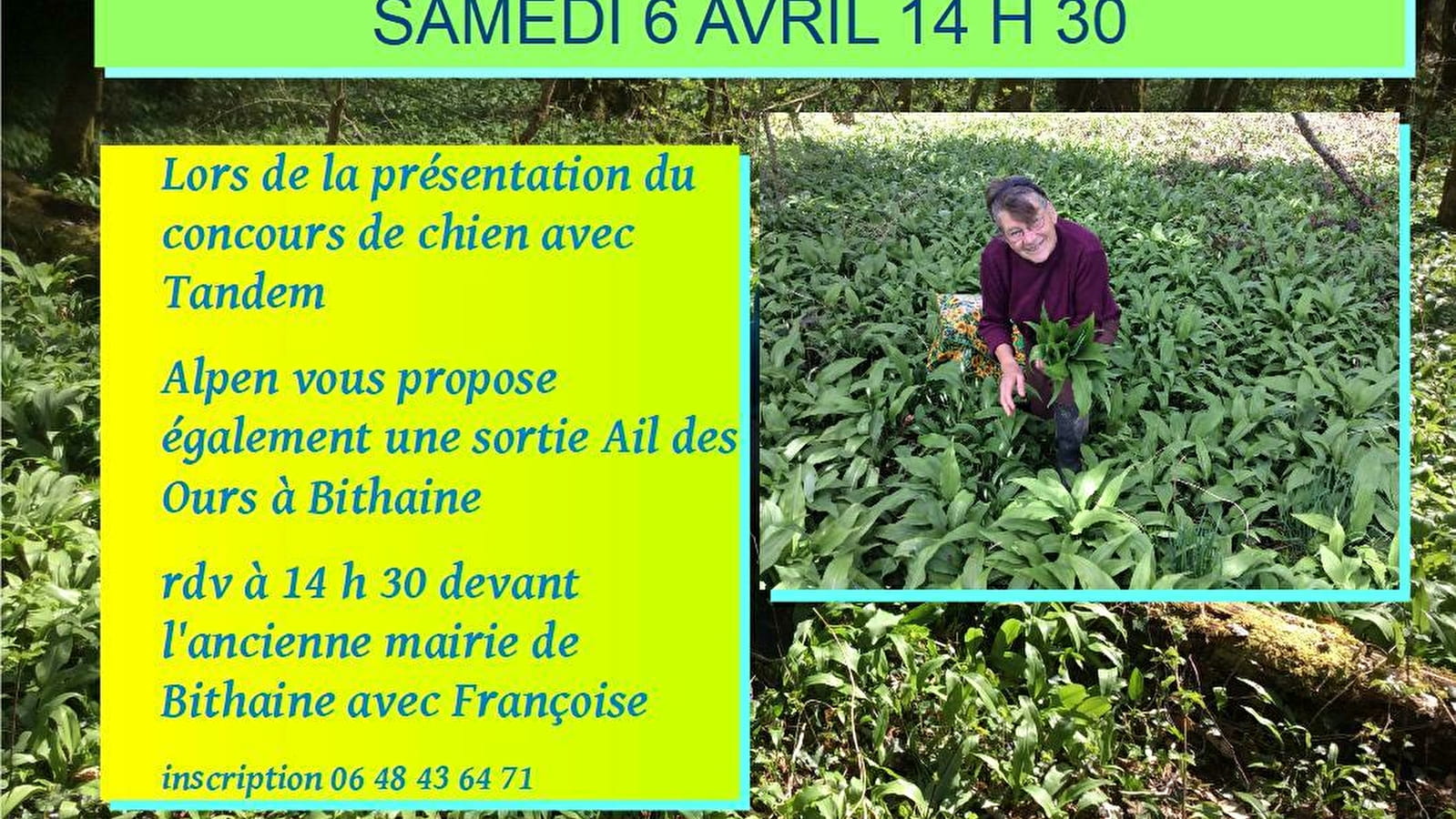 Sortie Ail des Ours