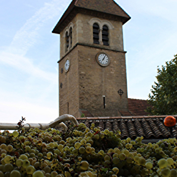 Domaine des 3 Dames - SOLUTRE-POUILLY