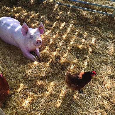 La Ferme Girmontoise