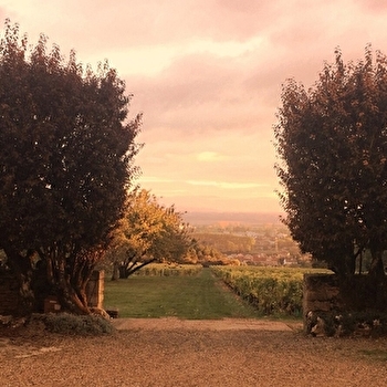 Domaine de la Folie - CHAGNY