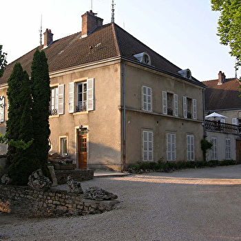 Albert Sounit - RULLY