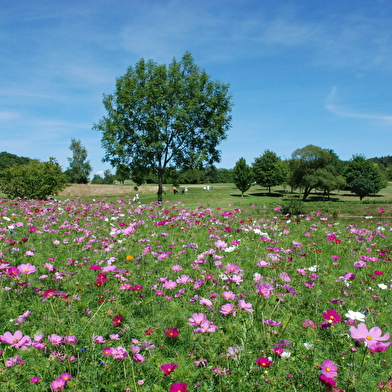 Golf des Vosges du Sud