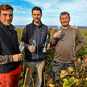 Domaine Renaud et Fils - SAINT-ANDELAIN