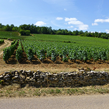 Chaussin Jocelyne - BOUZERON