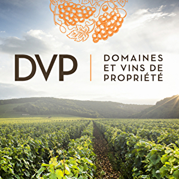 DVP Domaines & Vins de Propriété Bourgogne - NUITS-SAINT-GEORGES