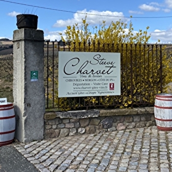 Domaine Steeve Charvet - CHIROUBLES
