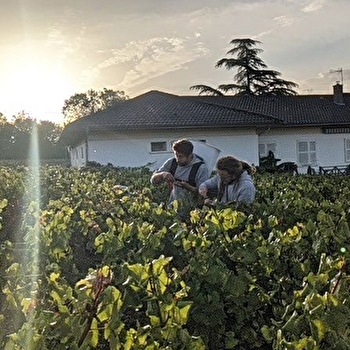 PGVF - La Cave - SAVIGNY-LES-BEAUNE