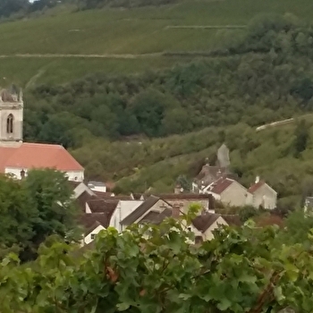 Colinot Anita et Jean-Pierre - IRANCY