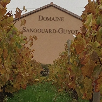Sangouard-Guyot - VERGISSON